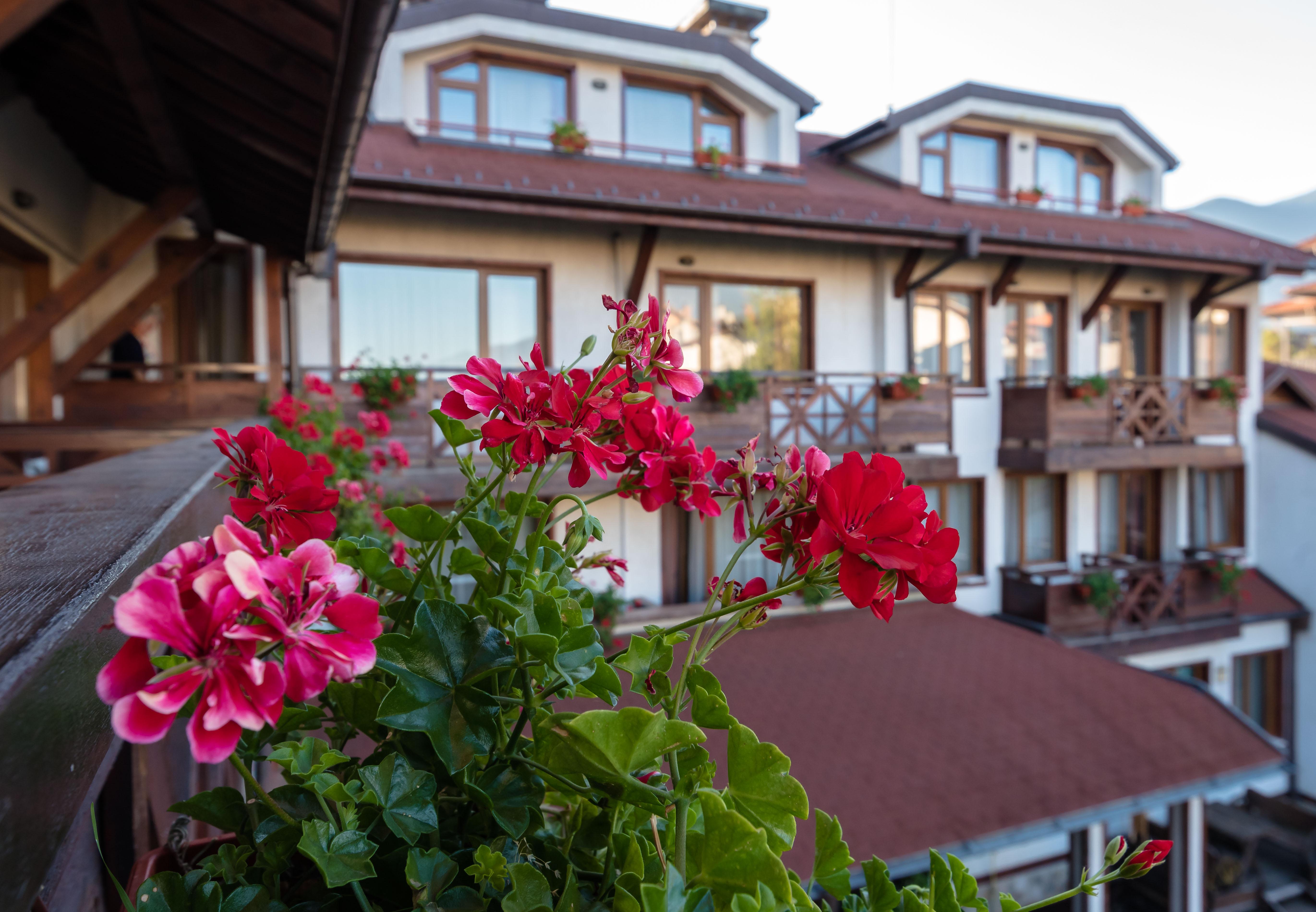 Evelina Palace 4*