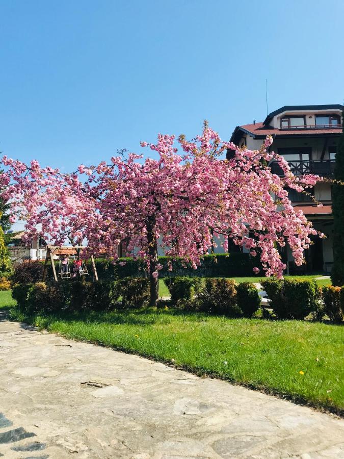Evelina Palace 4*
