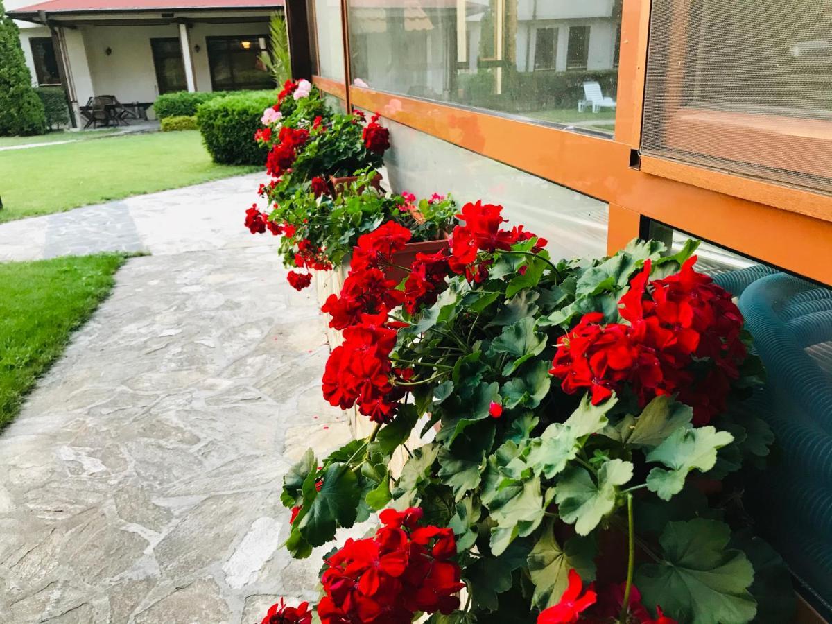 Evelina Palace Hotel