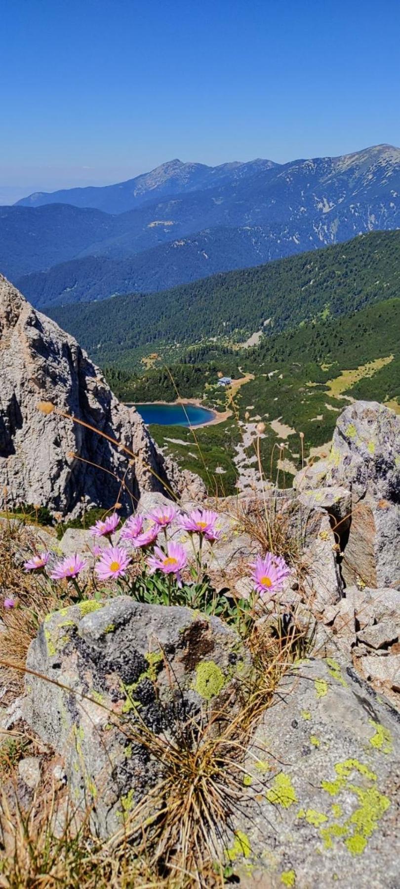 Hotel Evelina Palace Bansko